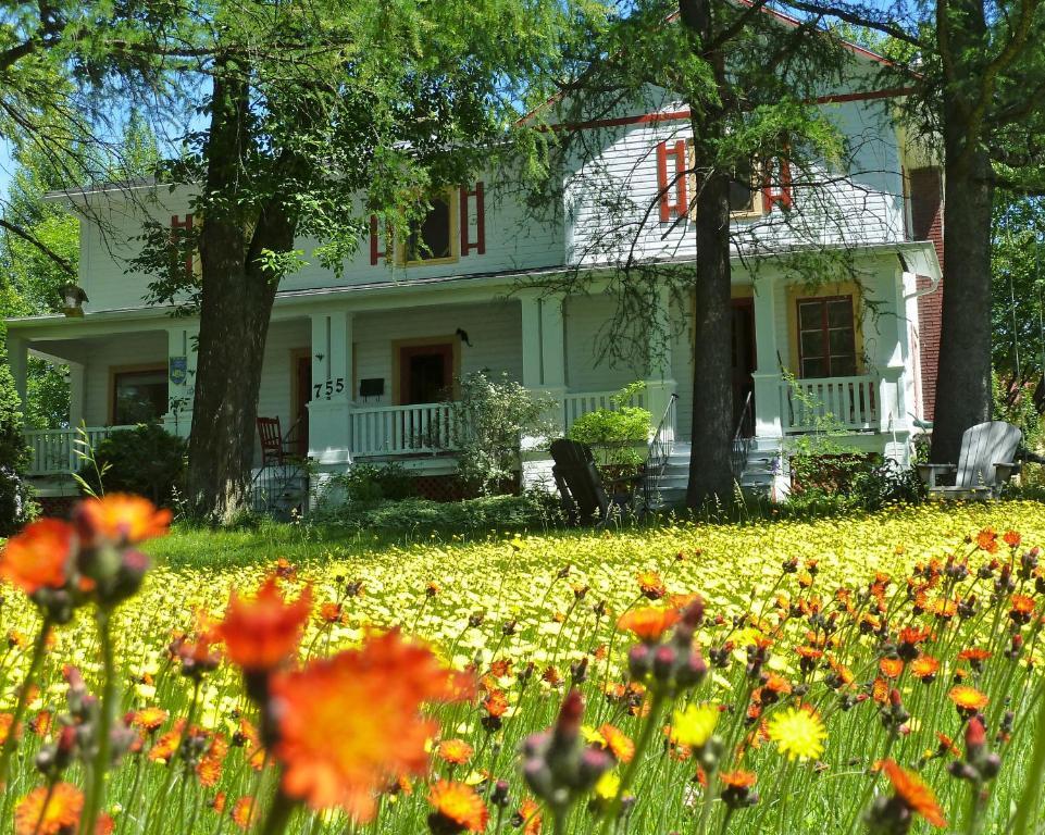 Bed and Breakfast Almatoit Екстер'єр фото