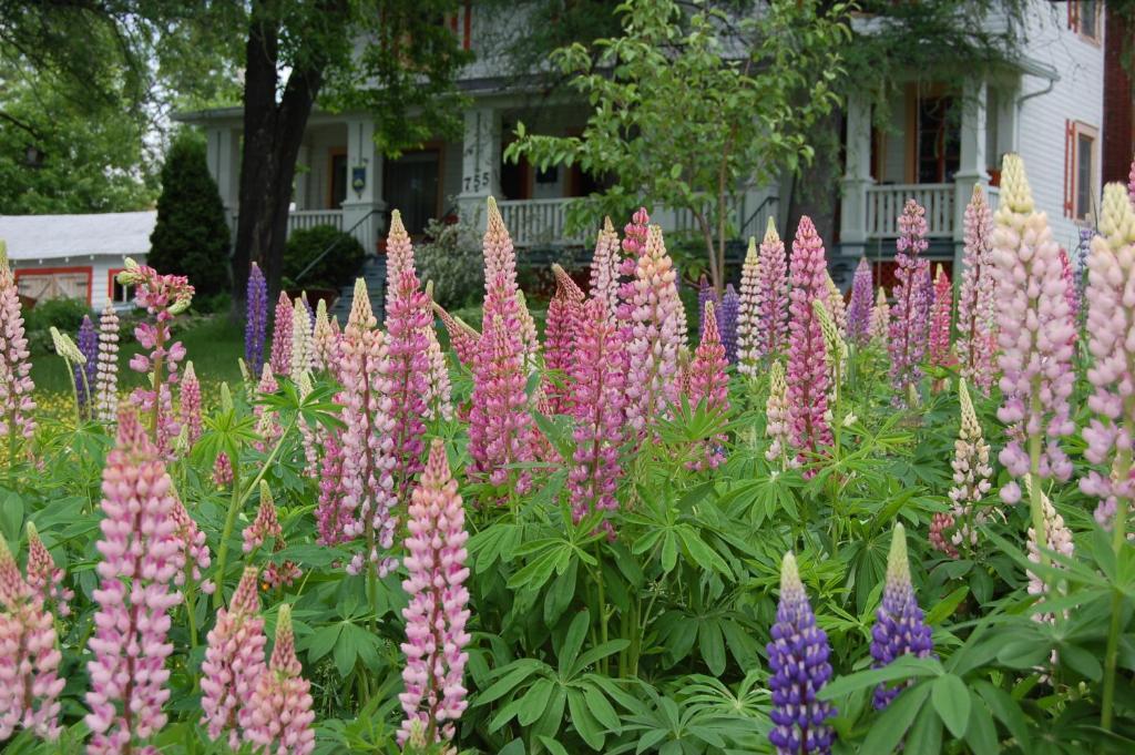 Bed and Breakfast Almatoit Екстер'єр фото