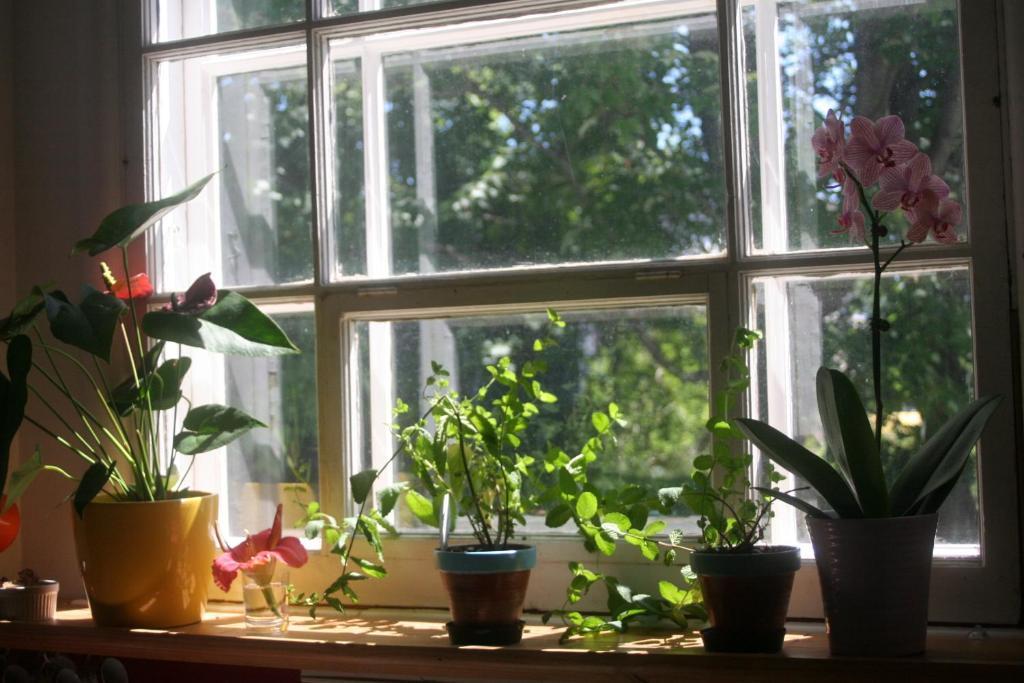 Bed and Breakfast Almatoit Екстер'єр фото